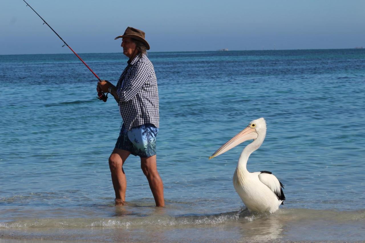Ceduna Foreshore Caravan Park Экстерьер фото